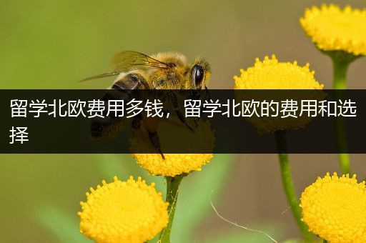 留学北欧费用多钱，留学北欧的费用和选择