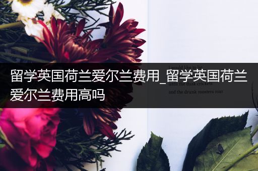 留学英国荷兰爱尔兰费用_留学英国荷兰爱尔兰费用高吗