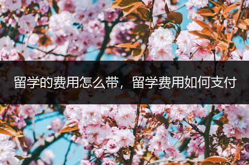 留学的费用怎么带，留学费用如何支付