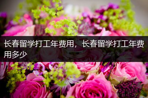 长春留学打工年费用，长春留学打工年费用多少