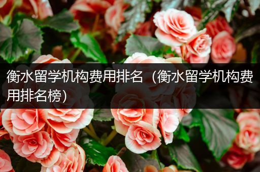 衡水留学机构费用排名（衡水留学机构费用排名榜）
