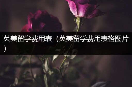 英美留学费用表（英美留学费用表格图片）
