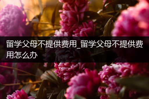 留学父母不提供费用_留学父母不提供费用怎么办
