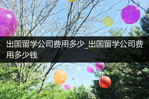 出国留学公司费用多少_出国留学公司费用多少钱