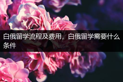 白俄留学流程及费用，白俄留学需要什么条件