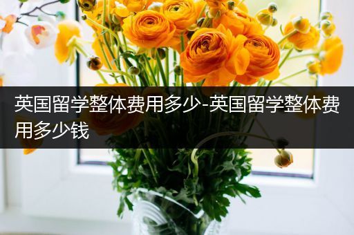 英国留学整体费用多少-英国留学整体费用多少钱