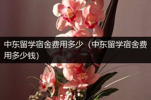 中东留学宿舍费用多少（中东留学宿舍费用多少钱）