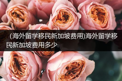 （海外留学移民新加坡费用)海外留学移民新加坡费用多少