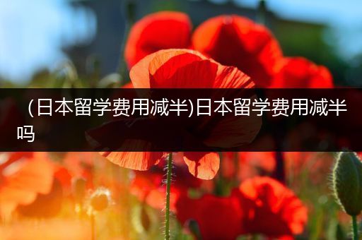 （日本留学费用减半)日本留学费用减半吗