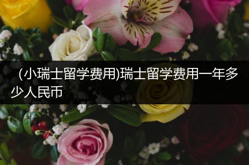 （小瑞士留学费用)瑞士留学费用一年多少人民币