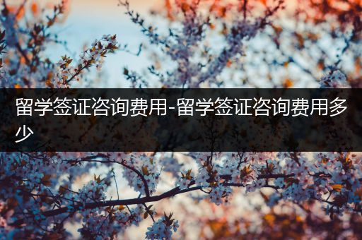 留学签证咨询费用-留学签证咨询费用多少