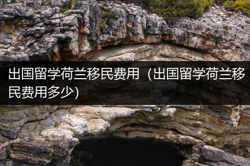 出国留学荷兰移民费用（出国留学荷兰移民费用多少）