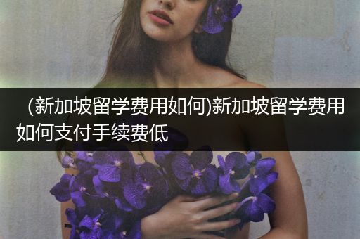 （新加坡留学费用如何)新加坡留学费用如何支付手续费低