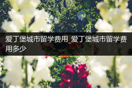 爱丁堡城市留学费用_爱丁堡城市留学费用多少