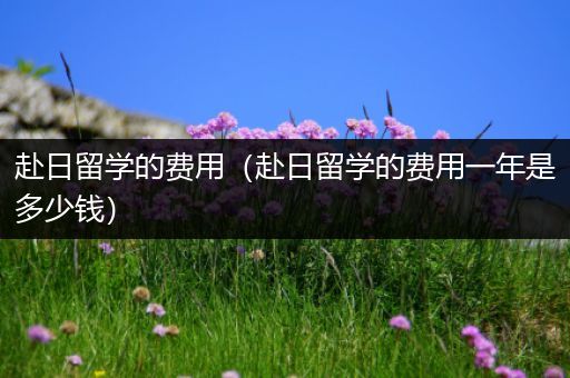 赴日留学的费用（赴日留学的费用一年是多少钱）