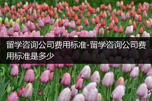 留学咨询公司费用标准-留学咨询公司费用标准是多少