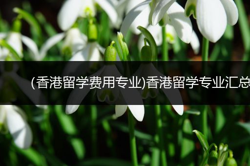 （香港留学费用专业)香港留学专业汇总