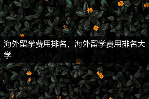 海外留学费用排名，海外留学费用排名大学