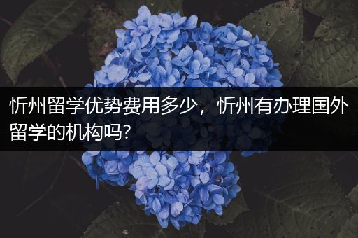 忻州留学优势费用多少，忻州有办理国外留学的机构吗?