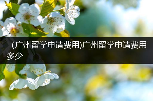 （广州留学申请费用)广州留学申请费用多少