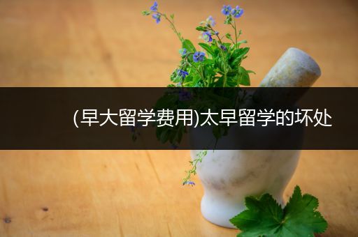 （早大留学费用)太早留学的坏处