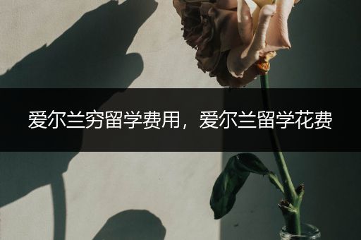 爱尔兰穷留学费用，爱尔兰留学花费