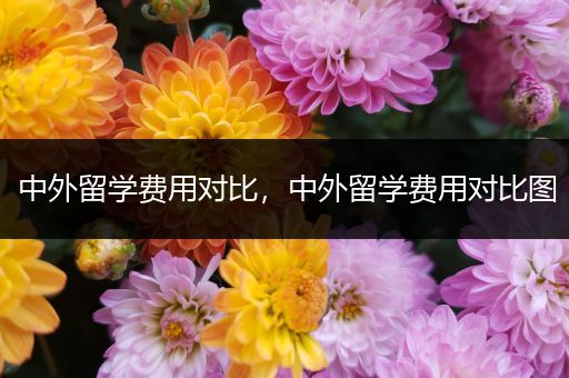 中外留学费用对比，中外留学费用对比图