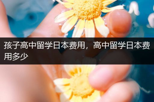 孩子高中留学日本费用，高中留学日本费用多少