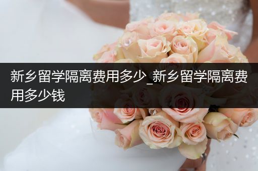 新乡留学隔离费用多少_新乡留学隔离费用多少钱