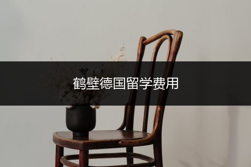 鹤壁德国留学费用