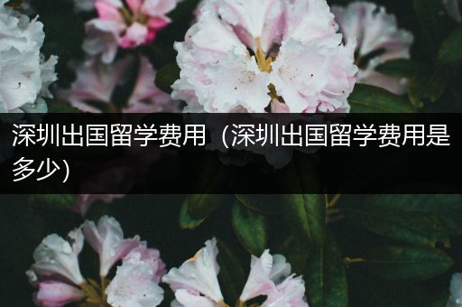 深圳出国留学费用（深圳出国留学费用是多少）