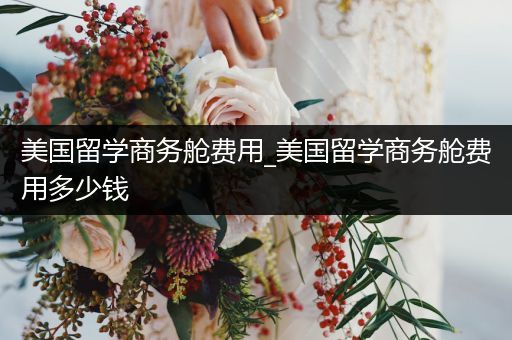 美国留学商务舱费用_美国留学商务舱费用多少钱