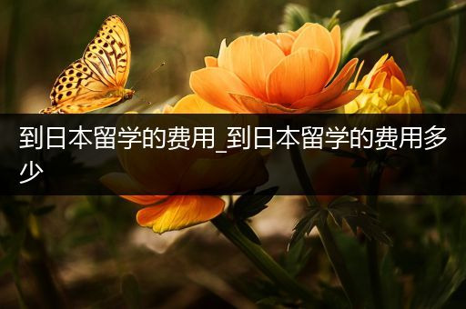 到日本留学的费用_到日本留学的费用多少