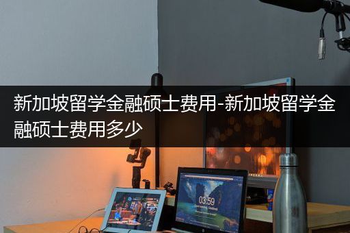 新加坡留学金融硕士费用-新加坡留学金融硕士费用多少