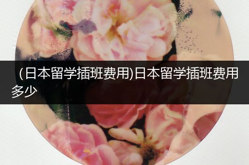 （日本留学插班费用)日本留学插班费用多少