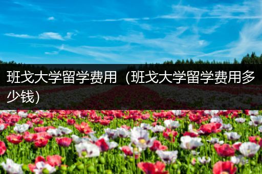 班戈大学留学费用（班戈大学留学费用多少钱）