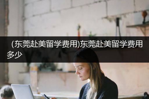 （东莞赴美留学费用)东莞赴美留学费用多少