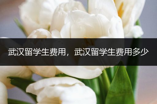 武汉留学生费用，武汉留学生费用多少