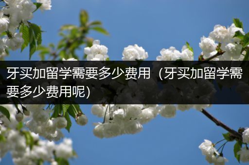 牙买加留学需要多少费用（牙买加留学需要多少费用呢）