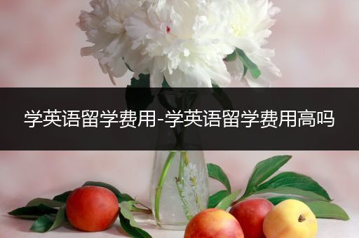 学英语留学费用-学英语留学费用高吗