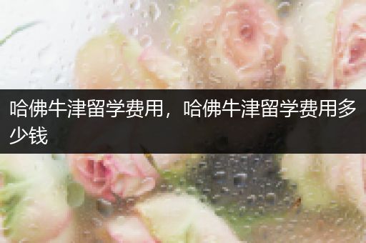 哈佛牛津留学费用，哈佛牛津留学费用多少钱