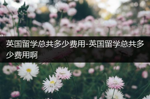 英国留学总共多少费用-英国留学总共多少费用啊