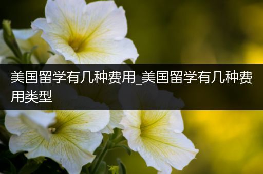 美国留学有几种费用_美国留学有几种费用类型