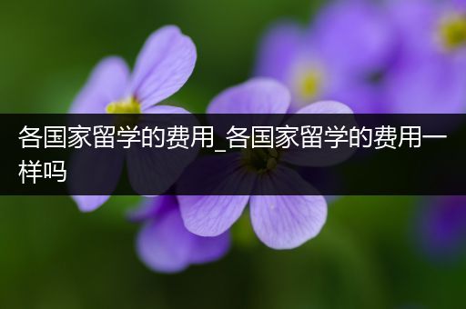 各国家留学的费用_各国家留学的费用一样吗
