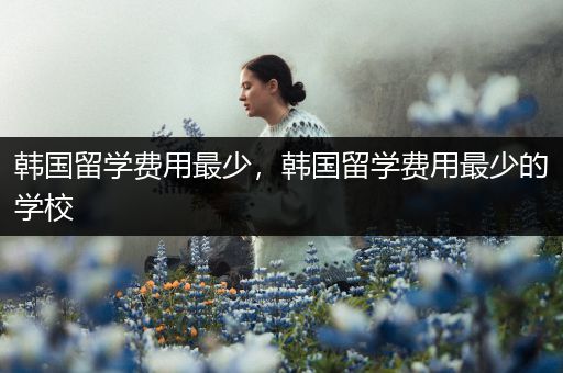 韩国留学费用最少，韩国留学费用最少的学校