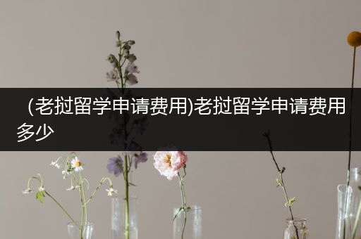 （老挝留学申请费用)老挝留学申请费用多少