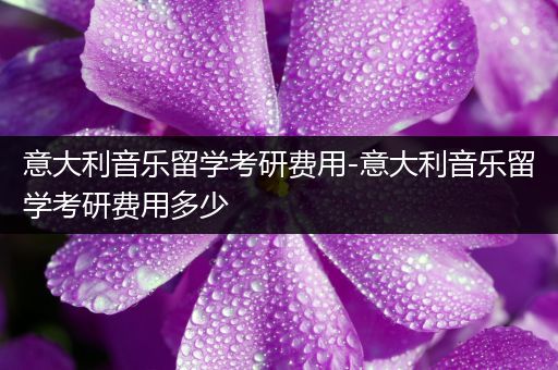意大利音乐留学考研费用-意大利音乐留学考研费用多少