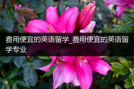 费用便宜的英语留学_费用便宜的英语留学专业