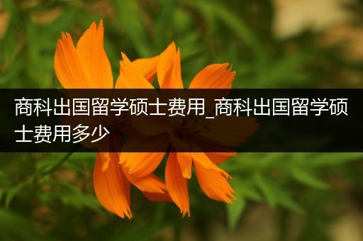 商科出国留学硕士费用_商科出国留学硕士费用多少