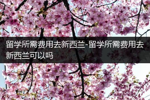 留学所需费用去新西兰-留学所需费用去新西兰可以吗